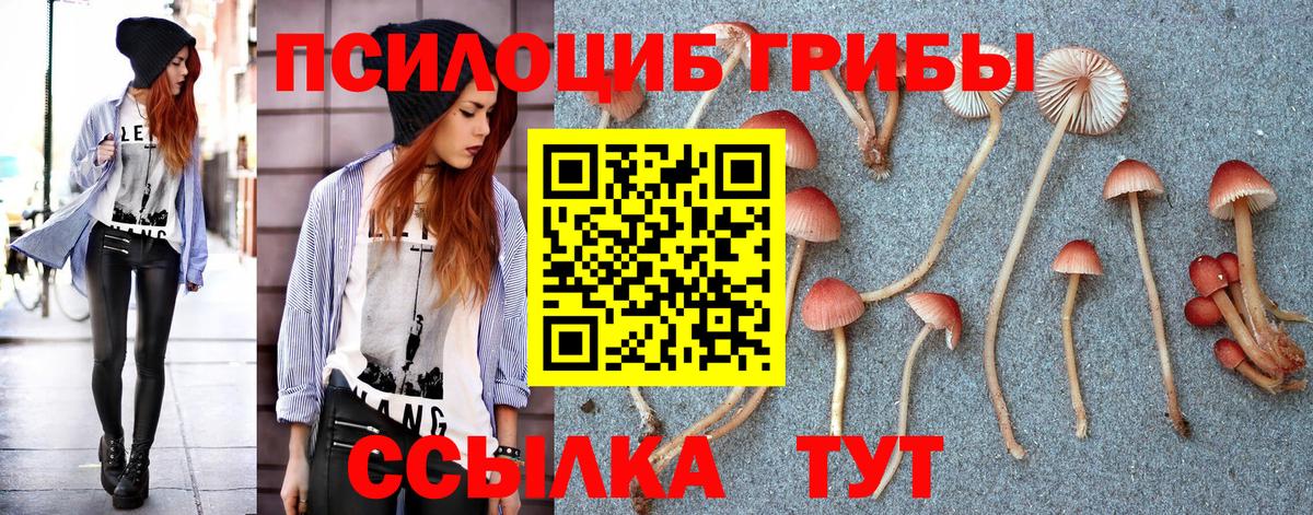 Псилоцибиновые грибы мухоморы Торжок