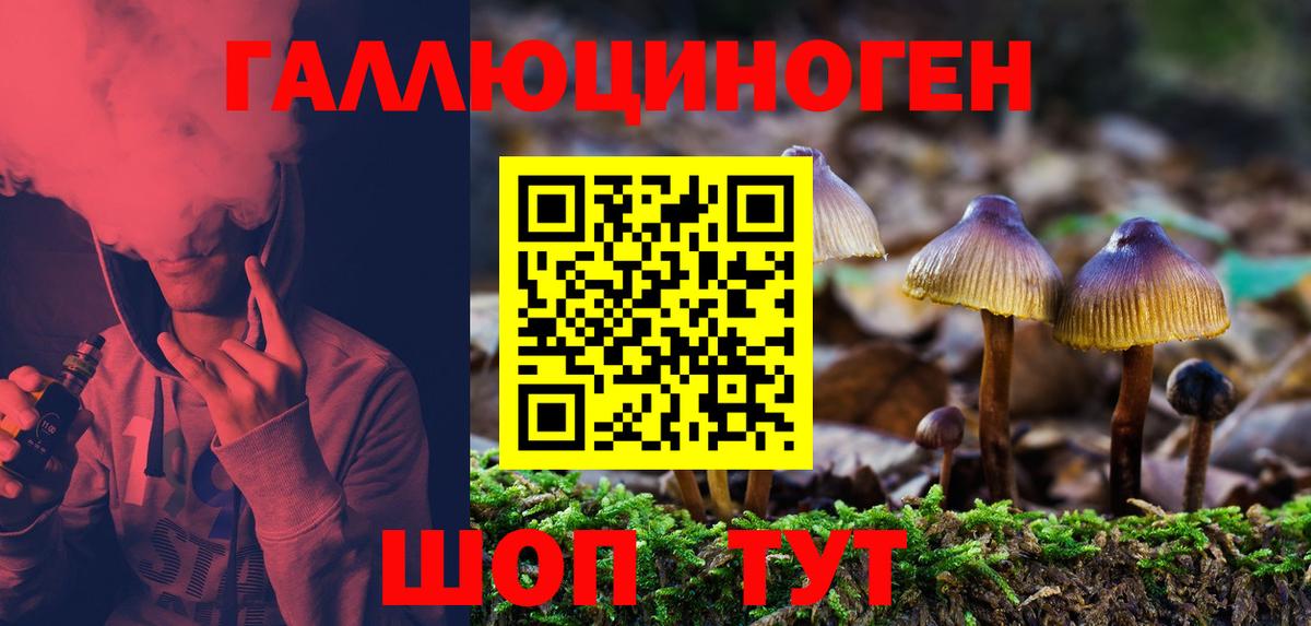 Торжок  Галлюциногенные грибы мицелий  Вход с VPN  Галлюциногенные грибы Psilocybine cubensis 
